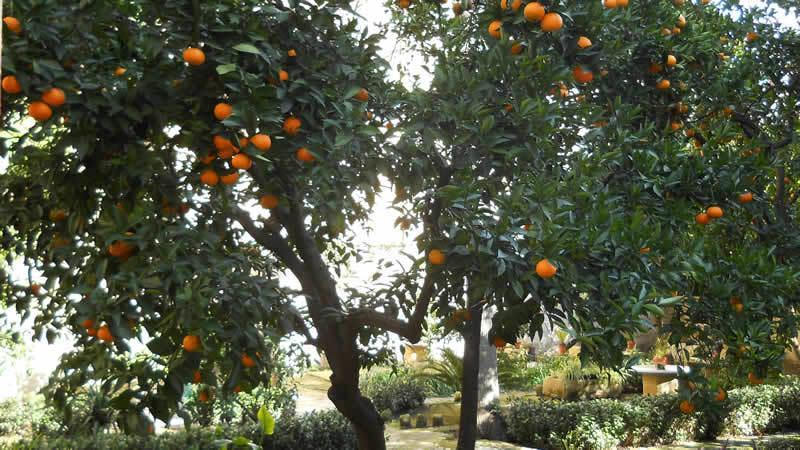 B&B L'Orangerie D'Epoque Lecce Exterior photo